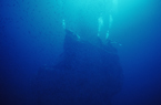 高知県沖の島ダイビング　丸サゲ