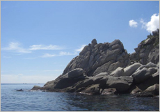 高知県　沖の島・鵜来島（うぐる）ダイビングポイントの沖の島　幾重にも重なるテーブルサンゴの群生ポイント(トリノクビ・赤崎)