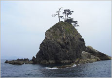 高知県　沖の島・鵜来島（うぐる）ダイビングポイントの裸島　エアドーム　回遊魚