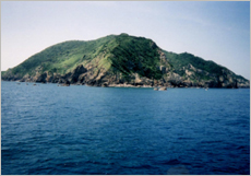 高知県　沖の島・鵜来島（うぐる）ダイビングポイントの姫島　大物エイ　回遊魚