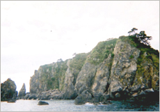 高知県　沖の島・鵜来島（うぐる）ダイビングポイントの三の瀬島　カマスの群れや回遊魚