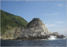 高知県　沖の島・鵜来島（うぐる）ダイビングポイントの大小島　沖の島南端のポイント