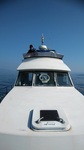 113-s-2.jpg
