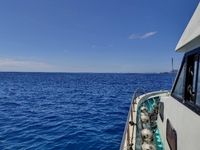 130-s-1.jpg