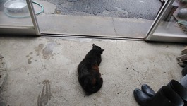 131-s-2.jpg